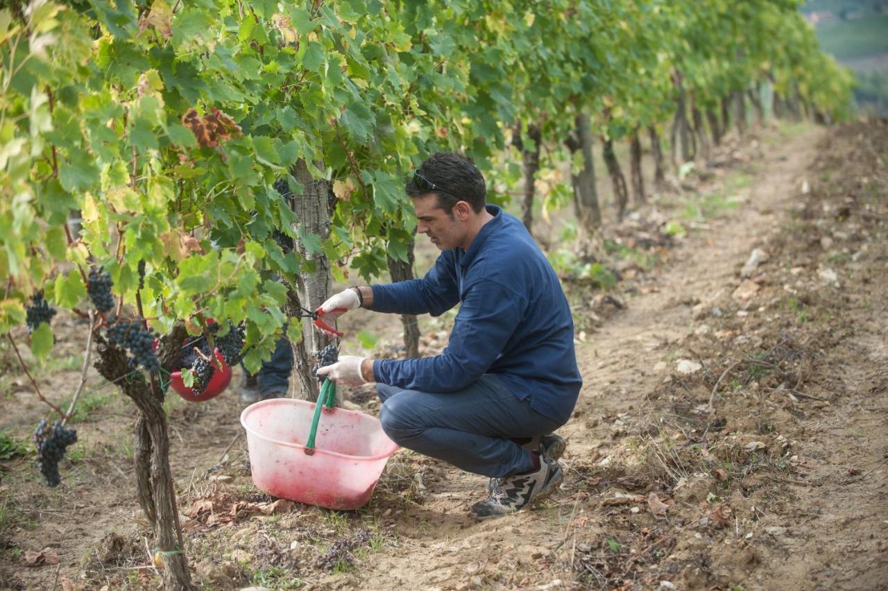 La Valletta Boutique Wine Estate Панцано Экстерьер фото