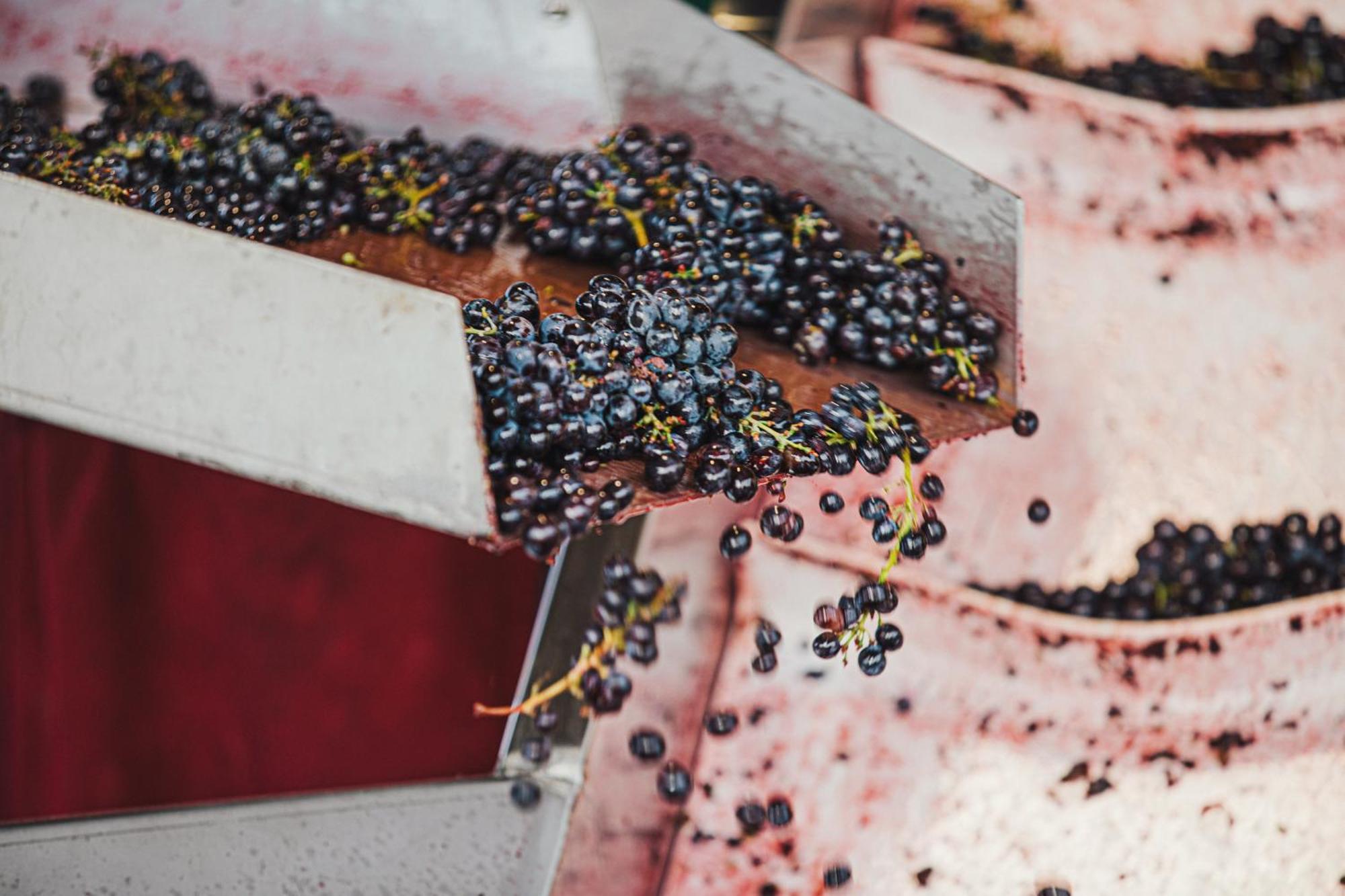 La Valletta Boutique Wine Estate Панцано Экстерьер фото